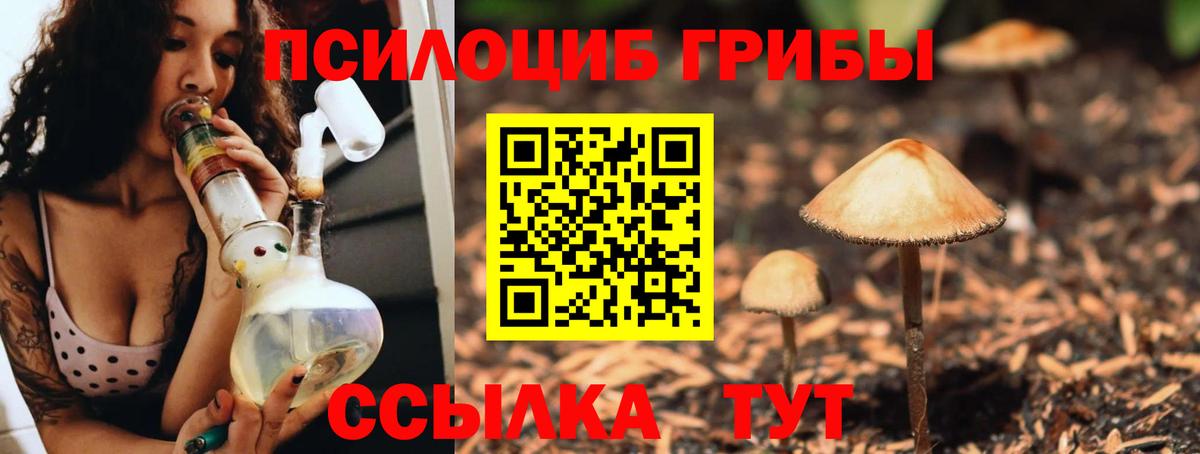 закладка  Вход с VPN  Ачинск  Галлюциногенные грибы Psilocybe  Галлюциногенные грибы прущие грибы 